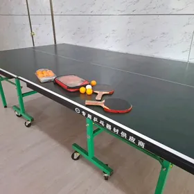 Настольный тенис