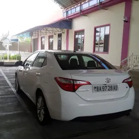 Toyota Corolla 2013