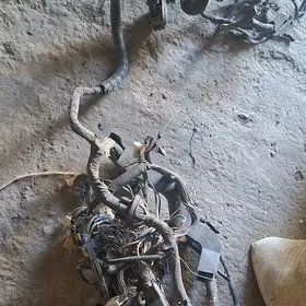 seennäň glawny symy