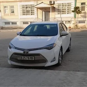 Toyota Corolla 2019