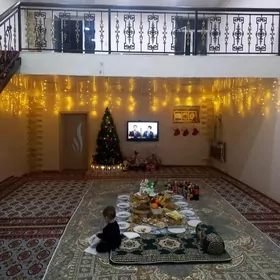 kotej Bayramhan koce