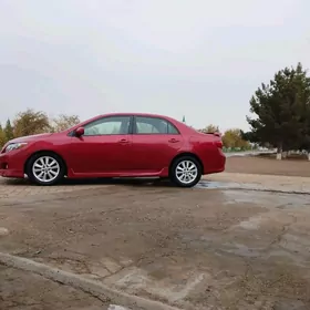 Toyota Corolla 2010