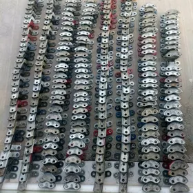 Gapy petle Morda Karolla