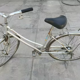 Altyyüzluk welisoped