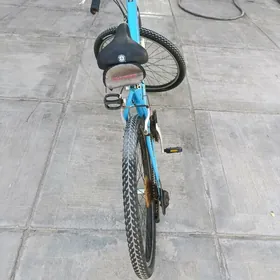 bäşyüzluk welisoped