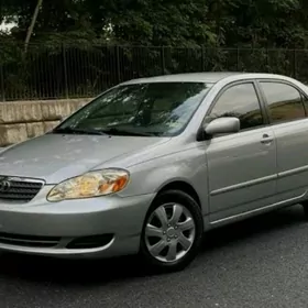 SÚRÚJIi woditel  is gozleyan