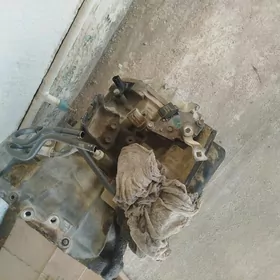 okuz kele 2.4 5 karopka