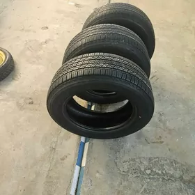 teker pakyryska michlen