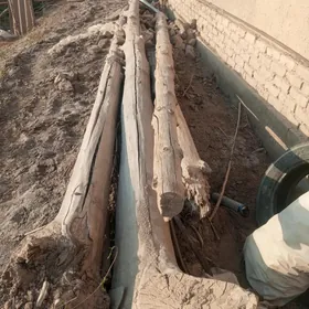 Mesnyy derek we Ярма гапы