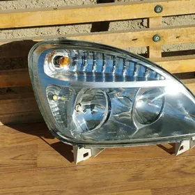 fara gazel sag tarap