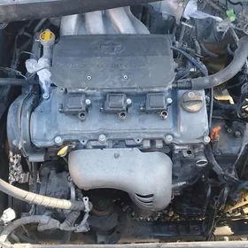 Toyota Sienna Angar Morda.