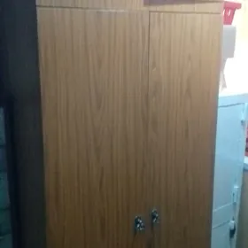 платиной шкаф