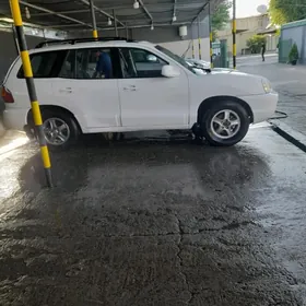 Hyundai Santa Fe 2004