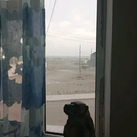 Guwlymayak etajkada 4 komnat