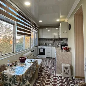 4 мкр от хозяина