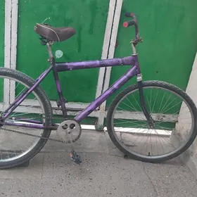 tigir gyssagly uly 26lyk welik