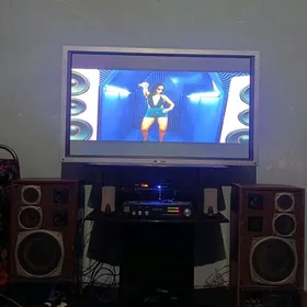 Uselitel kalonka telewizor