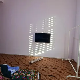 Arenda 16 Tapgyr Elitka