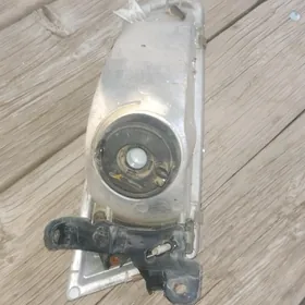 кемри лисичка, kemry lisiçka.