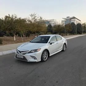 Toyota Camry 2020