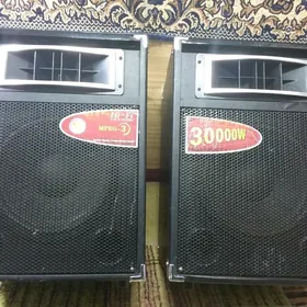 усилитель КАЛОНКА aktiv