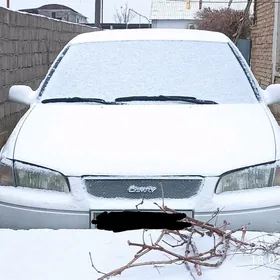 woditel safyor водитель maşyn