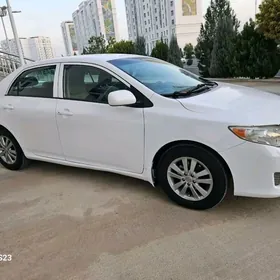 Toyota Corolla 2008