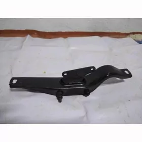 Karopkaň kirplenýasy