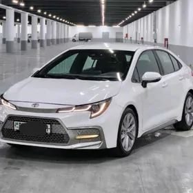 Toyota Corolla 2020