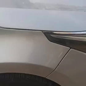 ХАЛИЖИ МОРДА