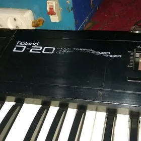 Roland d 20