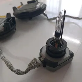 senon lampa relyasy durşy