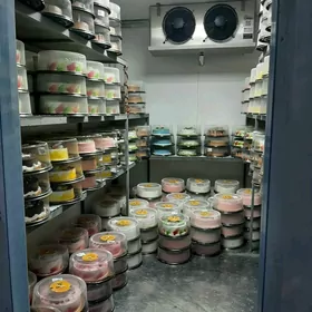 GÖÇME SOWADYJY/HOLODILNIK