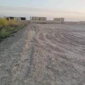 Melek yer 16 sotyk  uglawoy