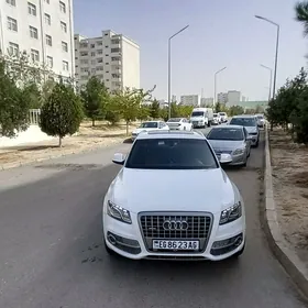 Audi Q5 2013