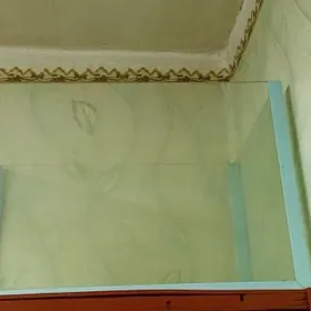 товары для животных