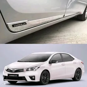 Corolla 14_19 nikel molding