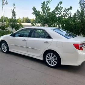 водитель sürüji