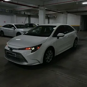 Toyota Corolla 2020