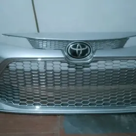 20 Carola Le onki bufur