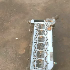 2.5galowka gosa wanus