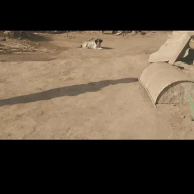 Güjuk Сабачки