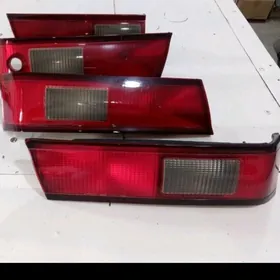 Fara lisiçka bagaçdaky oturyan