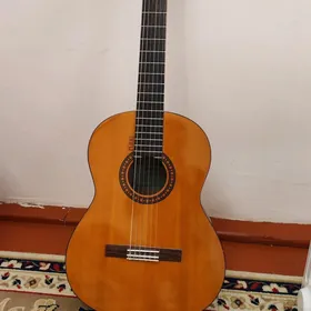 Gitara saz guraly