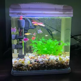 Akwarium Аквариум