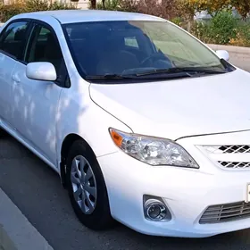Toyota Corolla 2011