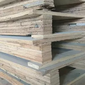 paddon plasmas палет