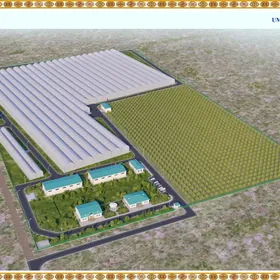 теплица teplisa