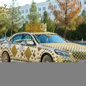 satlyk maşyn bezeg şaysepler