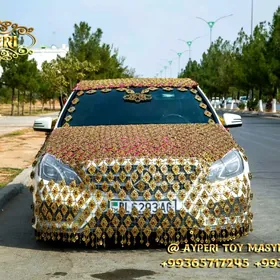 satlyk maşyn bezeg şaysepler